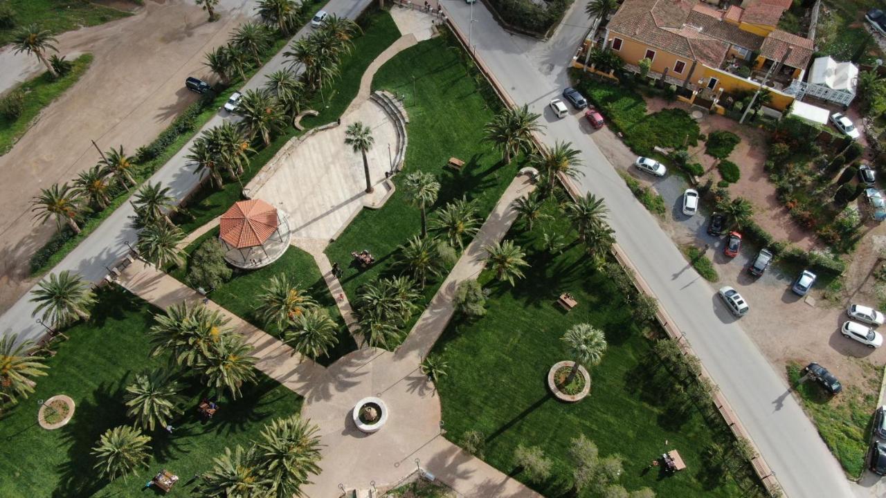 Palmtrees * Lavrion