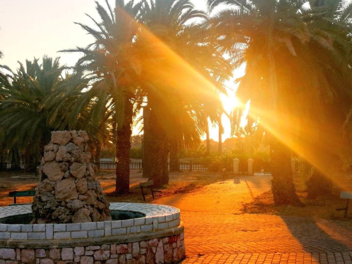 Holiday home Palmtrees